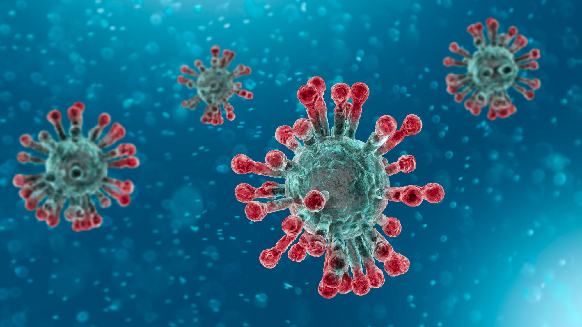 Microscopic view of Coronavirus, a pathogen that attacks the respiratory tract. Analysis and test, experimentation. Sars